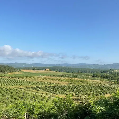 La Casetta Biricocolo Semesterbostad